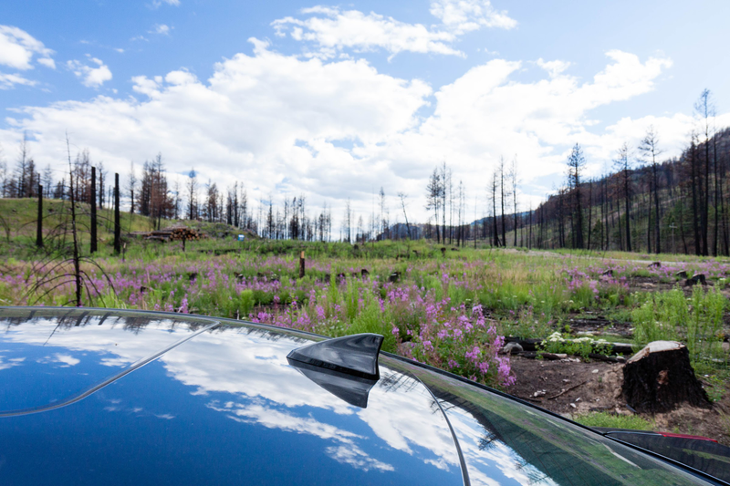 Illustration for article titled Pics from the Roadtrip Part 2: July 2016 to South / Central Okanagan